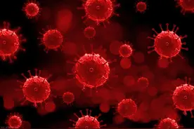 生殖器疱疹72小时自救指南：黄金期这样做，病毒阻断率提高3倍！图片