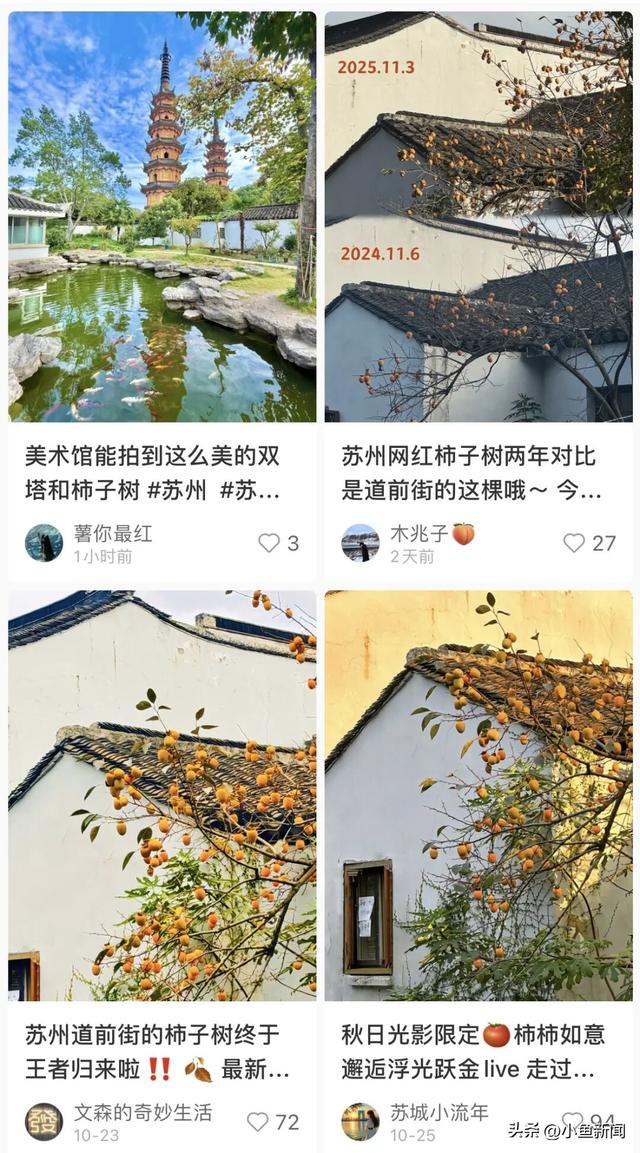 好多人在拍！苏州到底有谁在啊