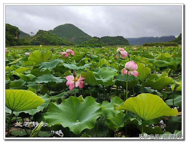 云南普者黑：自由行两日游