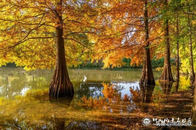 给个准信！盼了又盼的秋日“顶流”全部上线