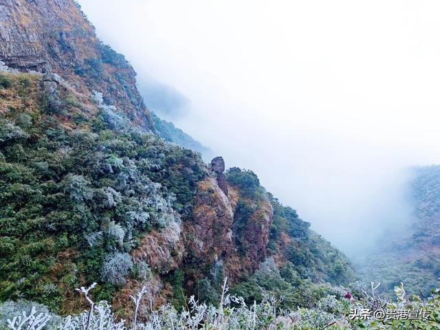 平天山美成了银装素裹的童话世界！贵港人：冷到发抖也要去