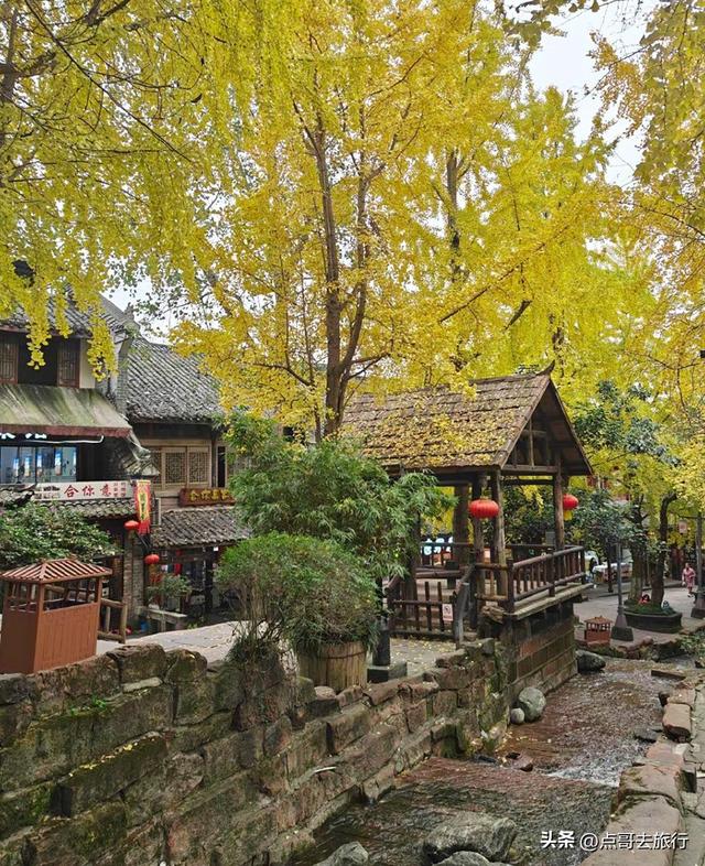 成都秋天最值得去的古场镇，每一个都惊艳，不要门票，公交可达！