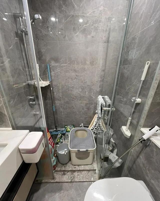 主卫淋浴房“正退出”中国家庭？看看年轻人的家里，那叫一个高级