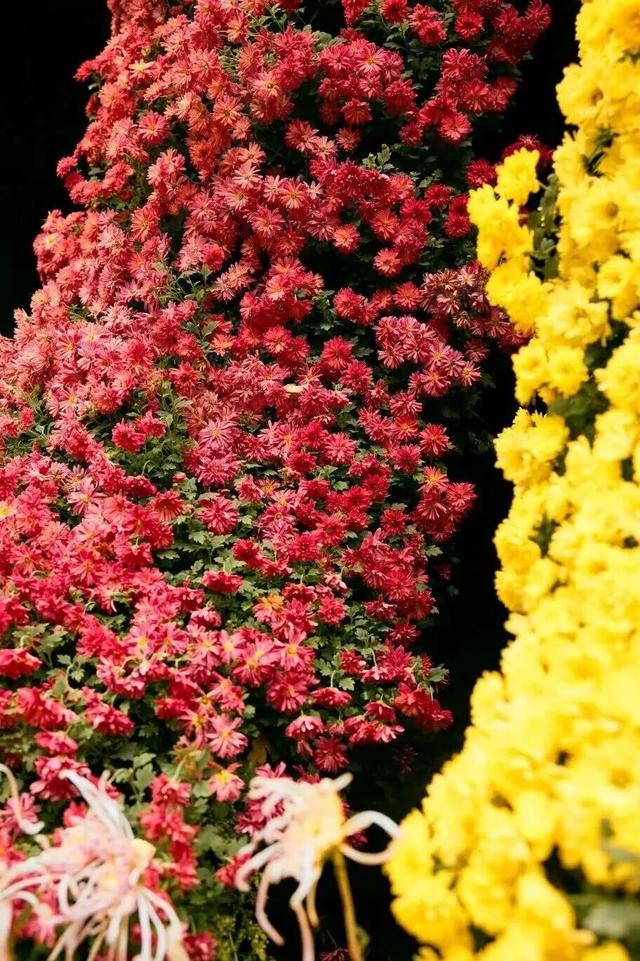 神图有了！在龙苍沟，出片还不是手拿把掐