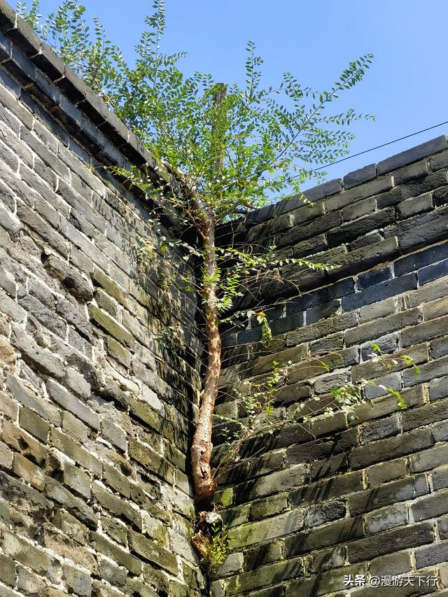 东戴河初印象，在外围找到了看点