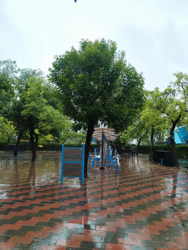 天津雨中的《红光公园》