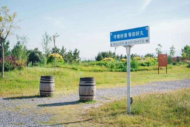 在戈壁滩从早喝到晚，这样的旅行才称得上与众不同！