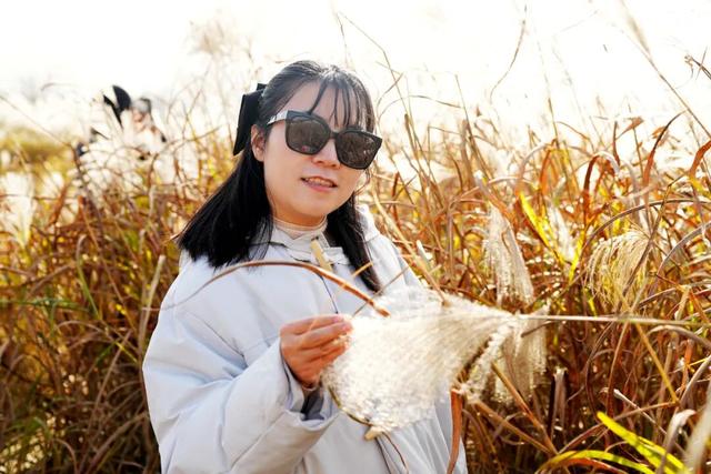 沐浴冬日暖阳 领略芦苇风光