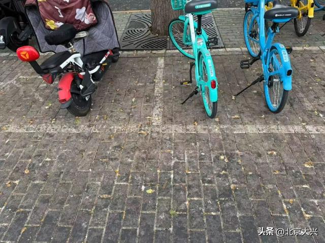 这果子的“歹毒”，足以毁掉整条大道的浪漫……怎么破？