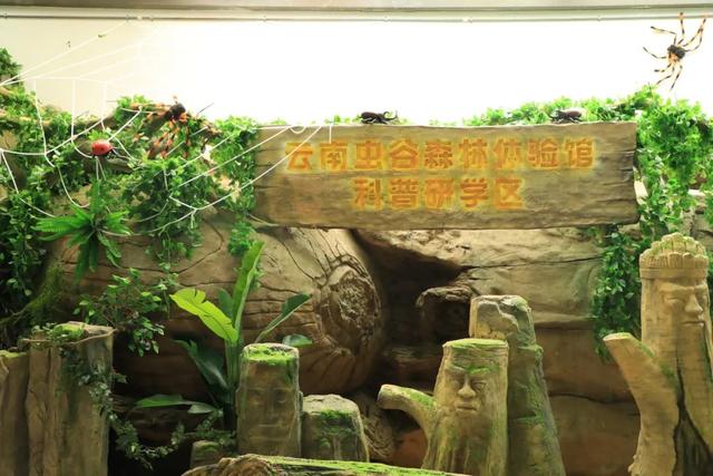 住普洱小熊猫庄园 探访太阳河森林公园 又有新业态啦 | 有一种叫云南的生活