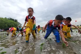 沈阳于洪区“融合型”学校举行亲子插秧节图片