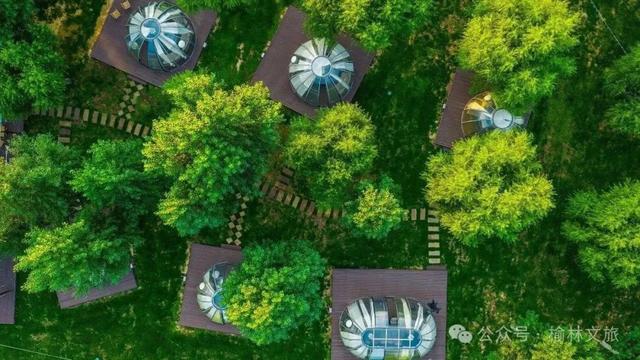 赏花事，醉秋风！花漾补浪河~