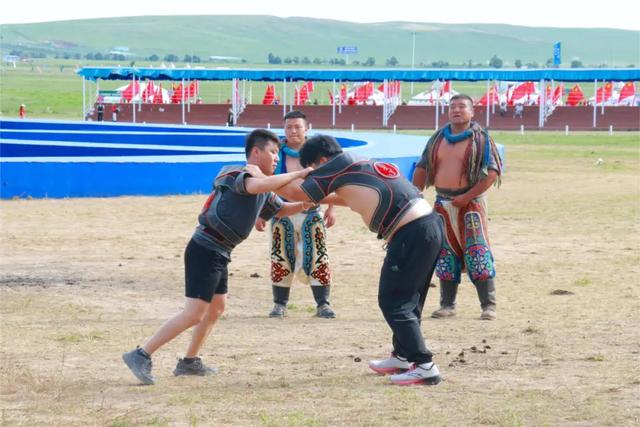 锡林浩特市：“欢聚那达慕”实景演绎 绘就草原生活画卷