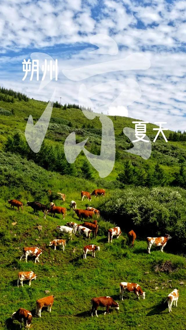 朔州的夏天，美极了
