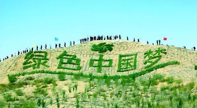 多国损失高达百亿，联合要求中国废除禁令，温铁军：轮不到你发言