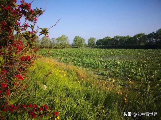 骑车环游太白湖 文井明新