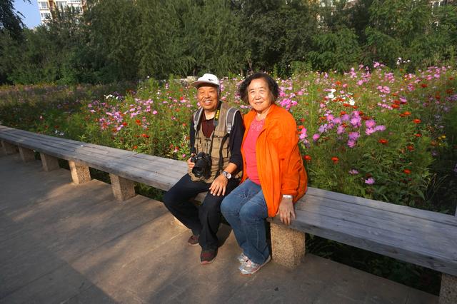 六问沈阳北塔公园空灵花海景点为何无花只有荒草