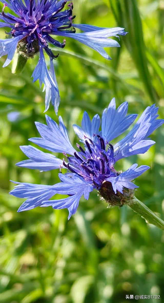 现实版的背信弃义的人，竟然挖了朋友的墙角