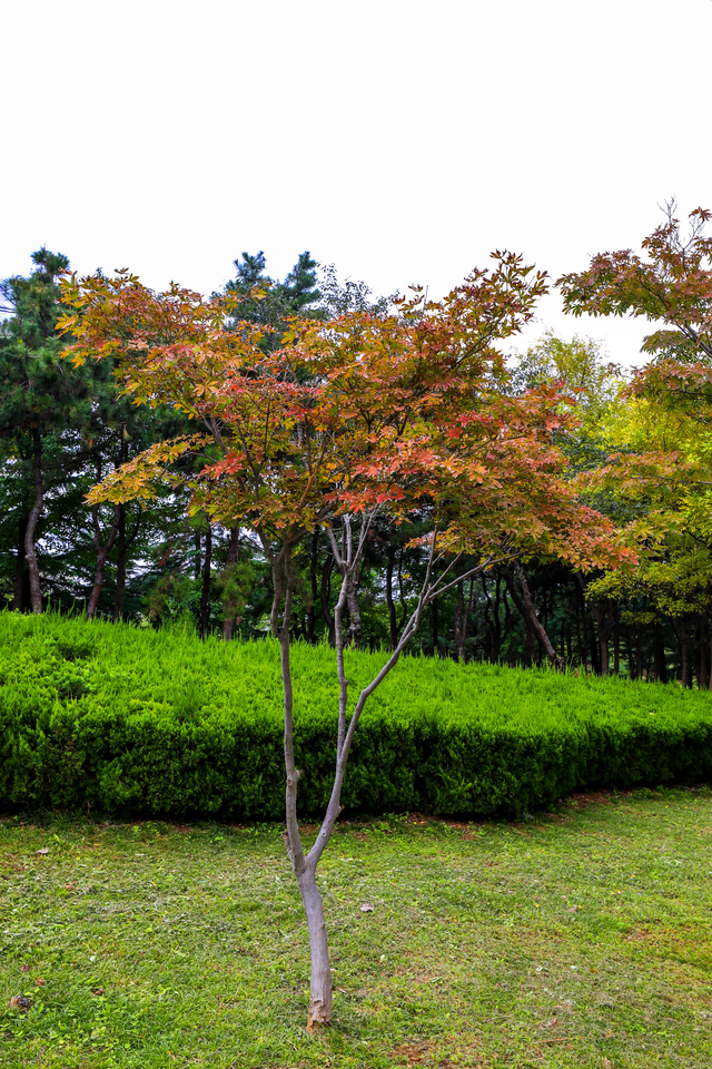 浞景无边，快乐亦无边~