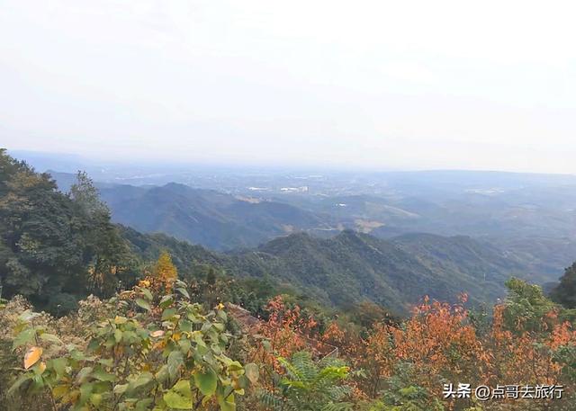 成都严重被低估的彩林徒步线路，1天轻松往返，山野壮观绚丽！