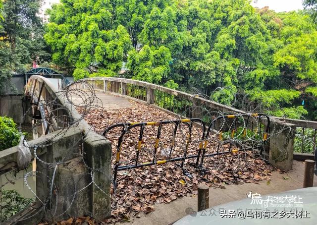 它是南宁第一座铁桥，仅花费8000元建成，如今已成危桥被废弃