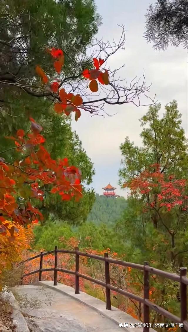 公园景区秋色图鉴，这几处必打卡