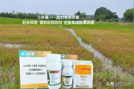 新三补星组合：不仅能快速死草，还可以封闭杂草，控草时间长图片