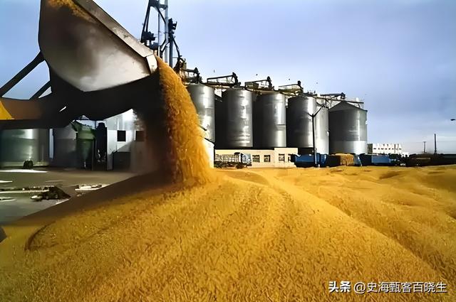 阿根廷大豆一夜变脸！中国船队怒掉头，人民币成救命稻草​