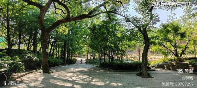 看杭州之 塔山公园