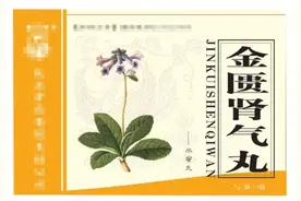 附子理中丸补不进的阳气，搭配上这3个中成药，把阳气补到根本图片
