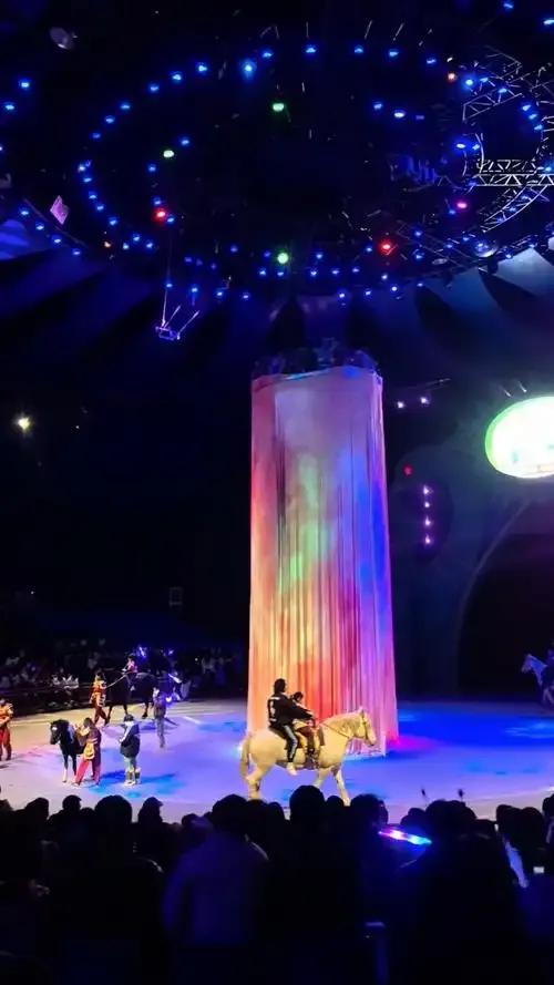 周口动物园自驾一日游详细攻略：