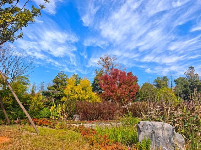 是谁？！打翻了“新区公园”的调色盘