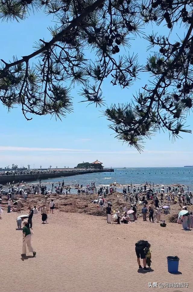 青岛栈桥 夏天来玩的人多