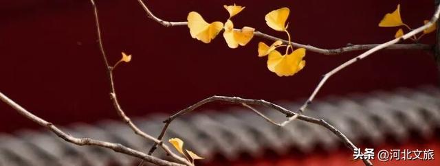 秋意正浓！是时候来石家庄平山开启一场秋日徒步了