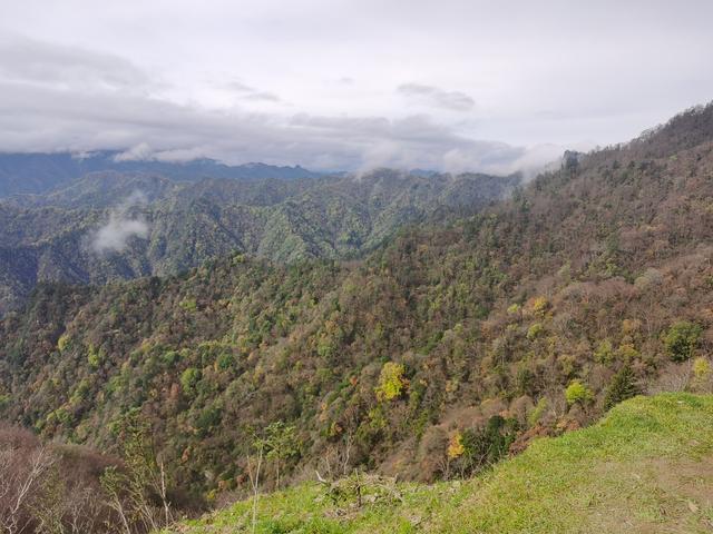 迷失黄柏塬