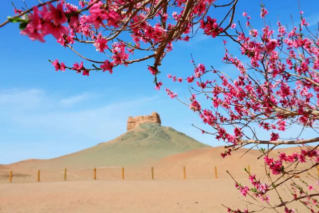 清明踏春|阳关沉浸式通关指南