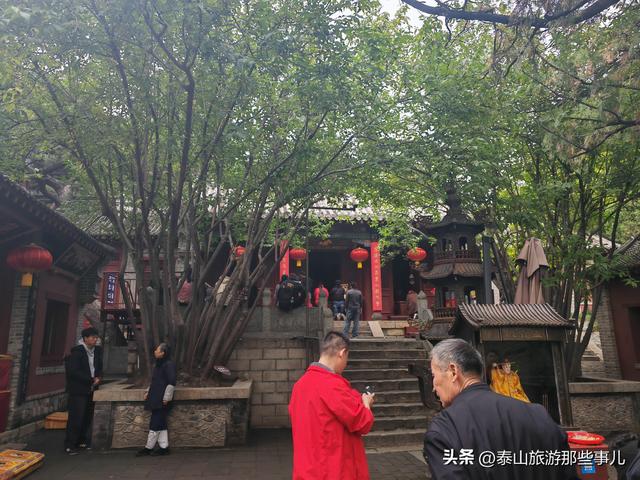 泰安：又是一年重阳时！带家中老人去哪儿走走？推荐一个免费景点