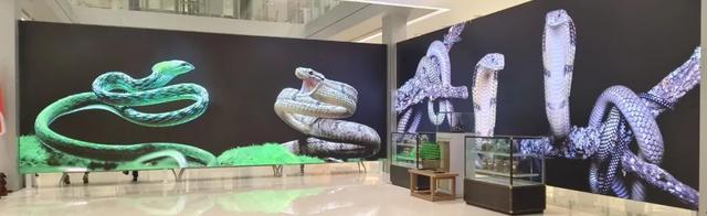 泰国风情园——《泰国散记》