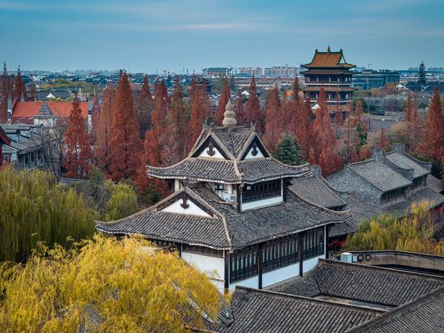 古城杉树运河魂