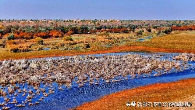 内蒙古杭锦旗：湿地秋景惹人醉