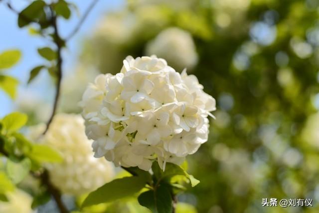 不管你信不信，过了50岁旅游的心气就淡了，就算出门也少了激情