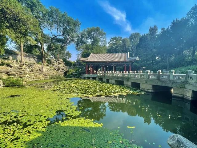 逛西城，到北海公园来个20分钟“精神快充”——