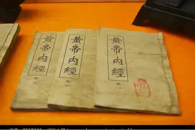 学习《黄帝内经素问》4图片