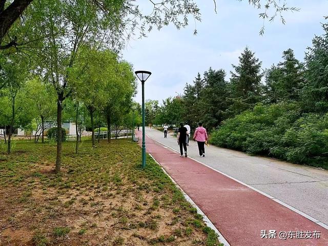 太美了！东胜街边“藏”了一个公园~
