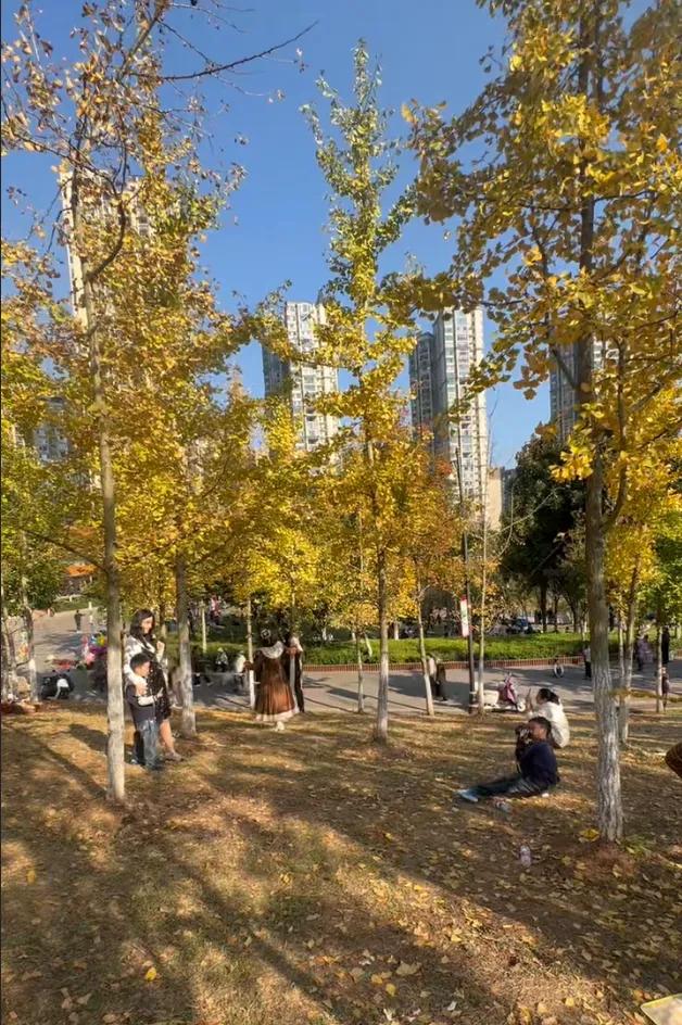 邵阳人藏不住的秋冬快乐!这些“金色浪漫”,@所有人来约!