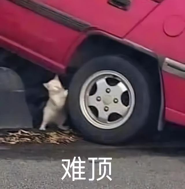 可拆卸电池手机终于杀回来了！看完我是真想买啊