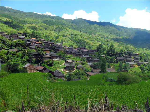 拒观光游内卷！大雄在贵州创新，“一人一技”成爆款