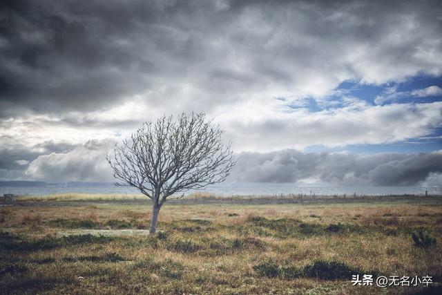 猛然发现，一个人独自旅行的好处真多！
