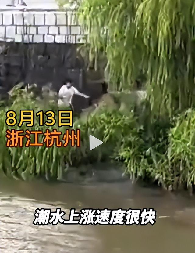 4名游客卷入钱塘江！迅速被冲散，记者曝全过程，没一个值得同情
