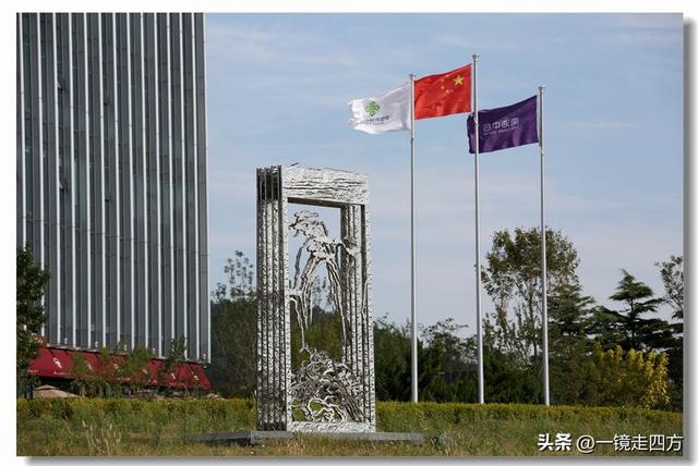 在大连陵水湾打造出的“海纳百川”国际雕塑景观带